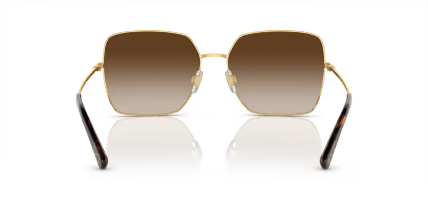 Dolce & Gabbana 0DG2242 02/13