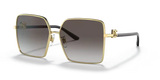 Dolce & Gabbana 0DG2279 02/8G