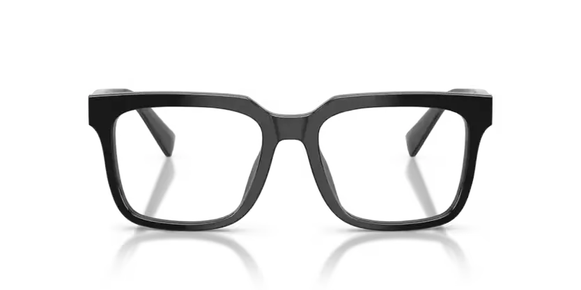 DOLCE & GABBANA DG3422-501 Dolce & Gabbana