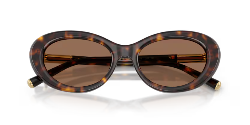 Dolce & Gabbana 0DG4519 502/73