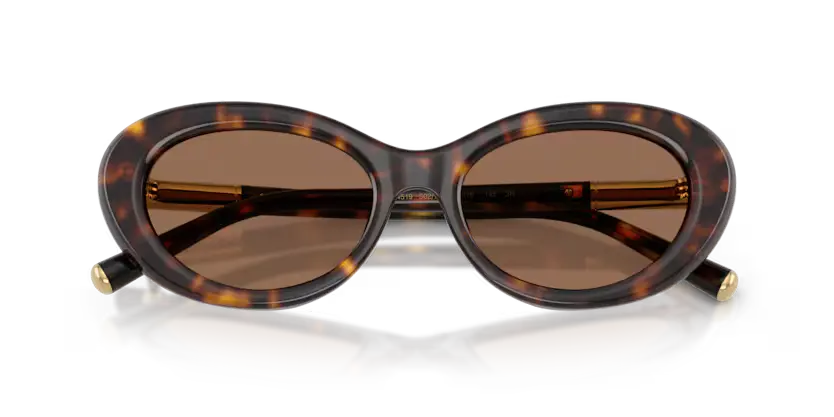 Dolce & Gabbana 0DG4519 502/73 Dolce & Gabbana