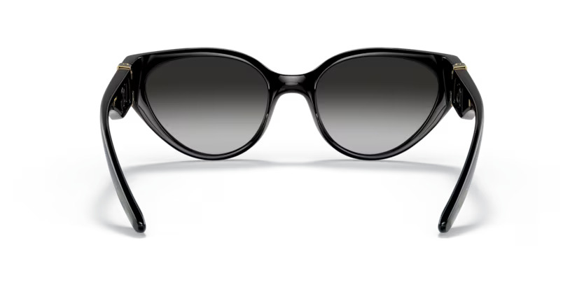 Dolce & Gabbana 0DG6146 501/8G