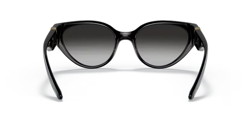 Dolce & Gabbana 0DG6146 501/8G