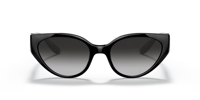 Dolce & Gabbana 0DG6146 501/8G