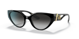 Dolce & Gabbana 0DG6146 501/8G