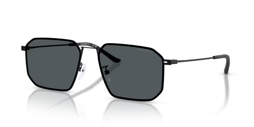 Emporio Armani EA2165D 300180 Matte Black Sunglasses