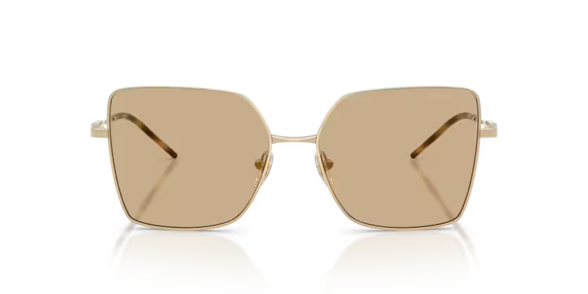 Emporio Armani EA2179 301373 Shiny Pale Gold Square Sunglasses