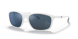 Emporio Armani 0EA4179 Sunglasses