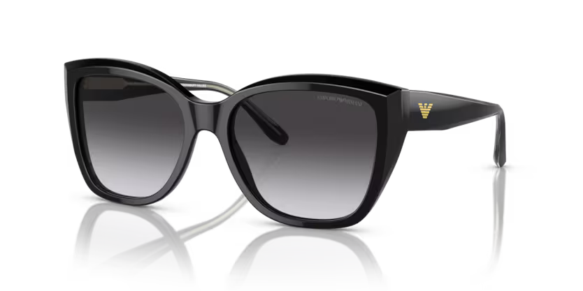 Emporio Armani 0EA4198 Cat-Eye Sunglasses for Women