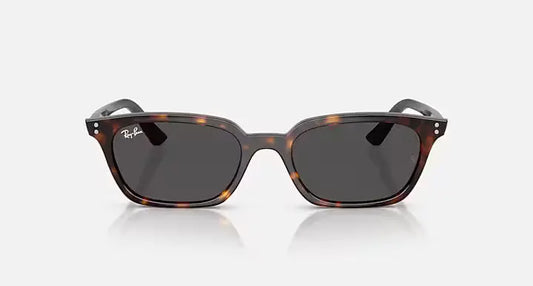 RB4456 135987 53-19 RAY-BAN