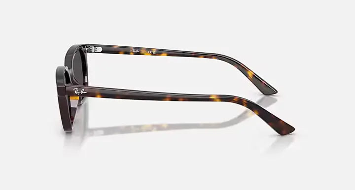 RB4456 135987 53-19
