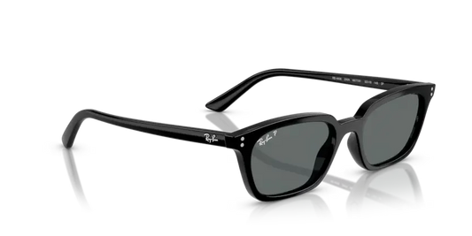 RAYBAN 0RB4456 667781 RAY-BAN