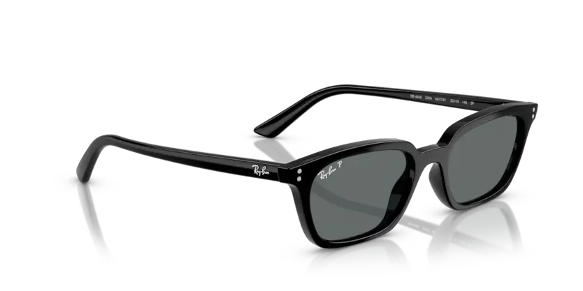 RAYBAN 0RB4456 667781
