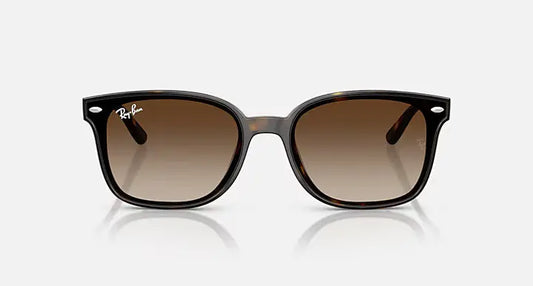 RB4461D 710/13 64-17 RAY-BAN