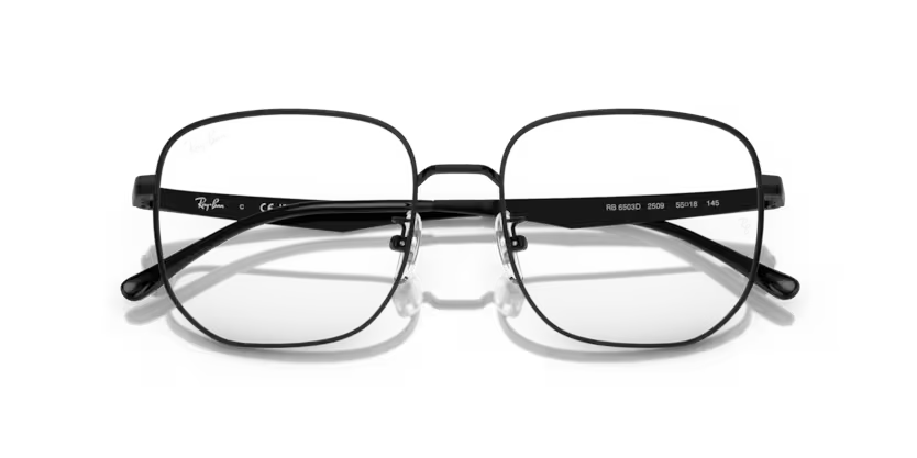 rayban 0RX6503D 2509