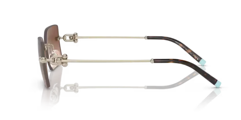 Tiffany & Co. 0TF3088