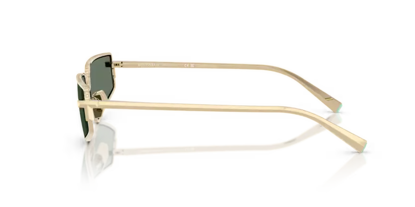 Tiffany & Co. 0TF3113KB