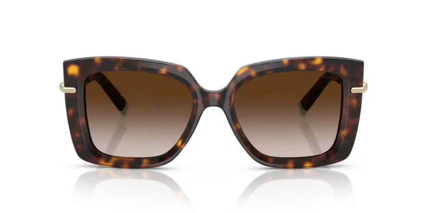 Tiffany & Co. 0TF4199