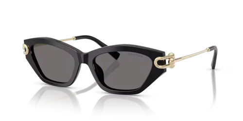 Tiffany & Co. 0TF4231U Sunglasses