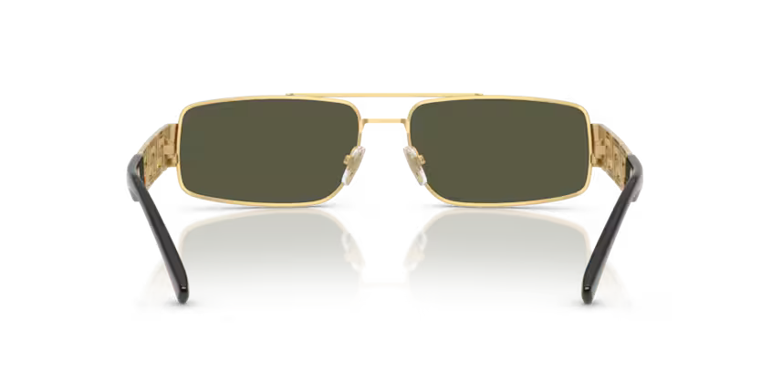 Versace ove2257 100230