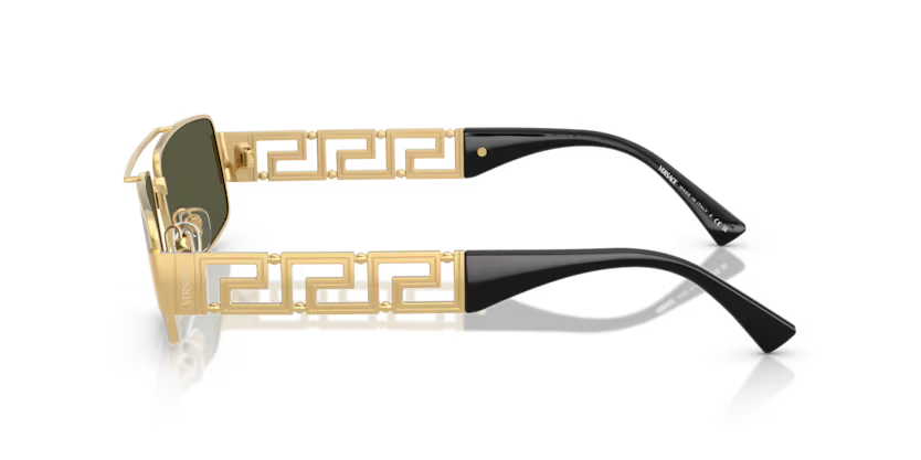 Versace ove2257 100230