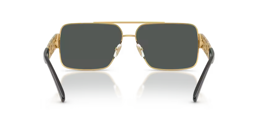 Versace ove2290 100287
