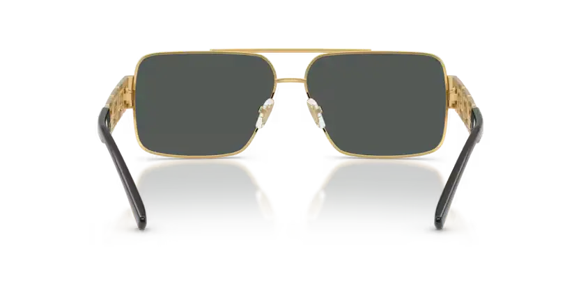 Versace ove2290 100287