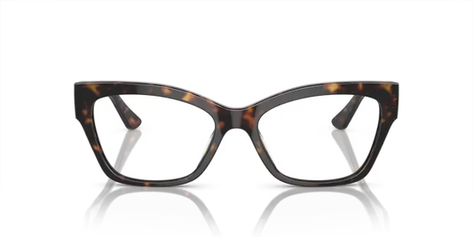 Tortoiseshell cat-eye glasses on a clear background