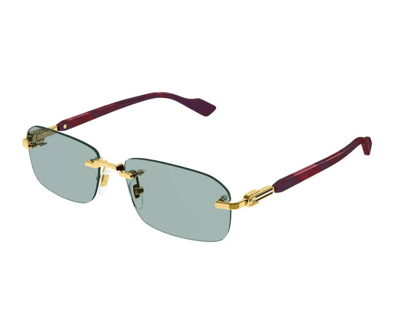 Gucci GG1221S