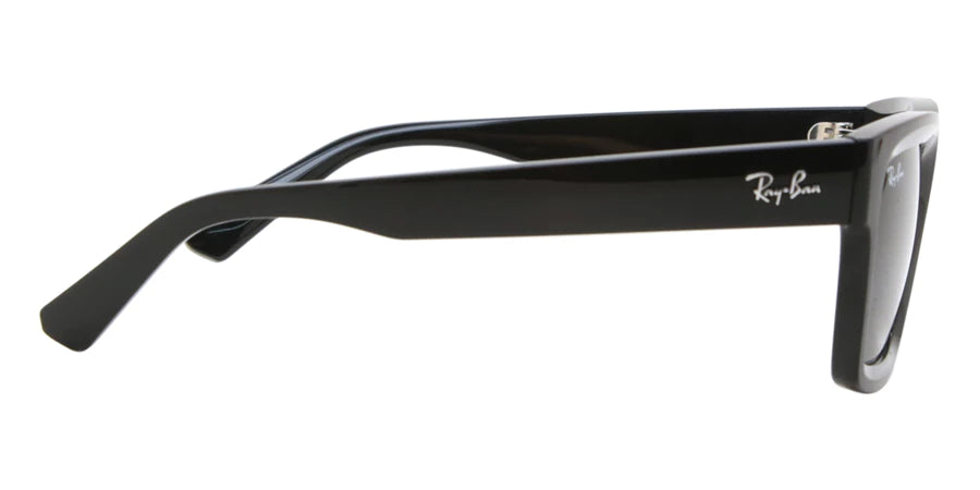 Ray-Ban RB4396 Warren 6677/87