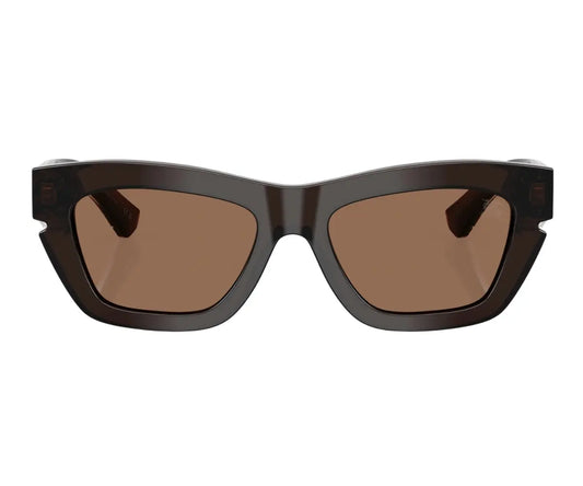 Brown sunglasses with a white background