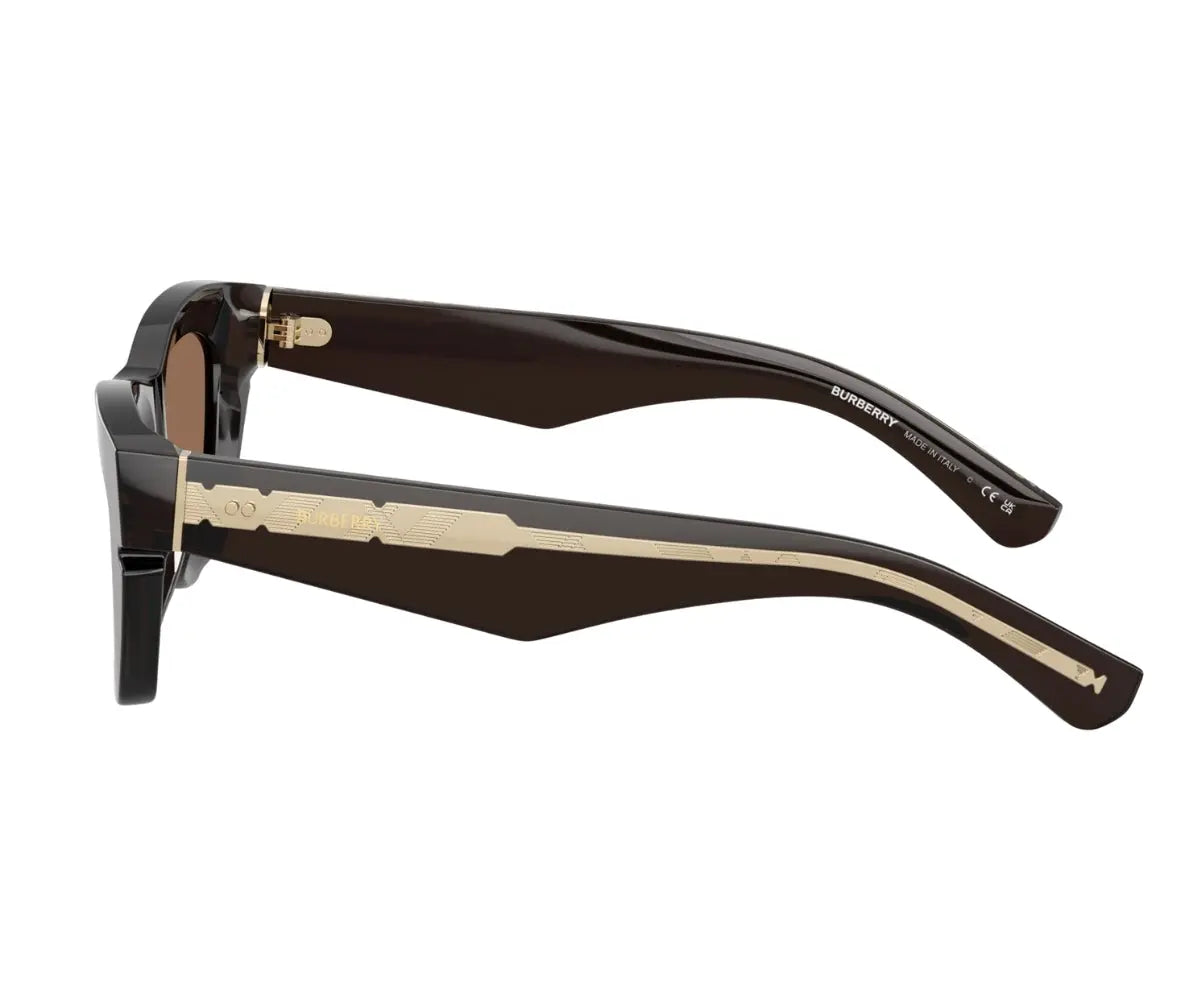 Black sunglasses with gold accents on a white background