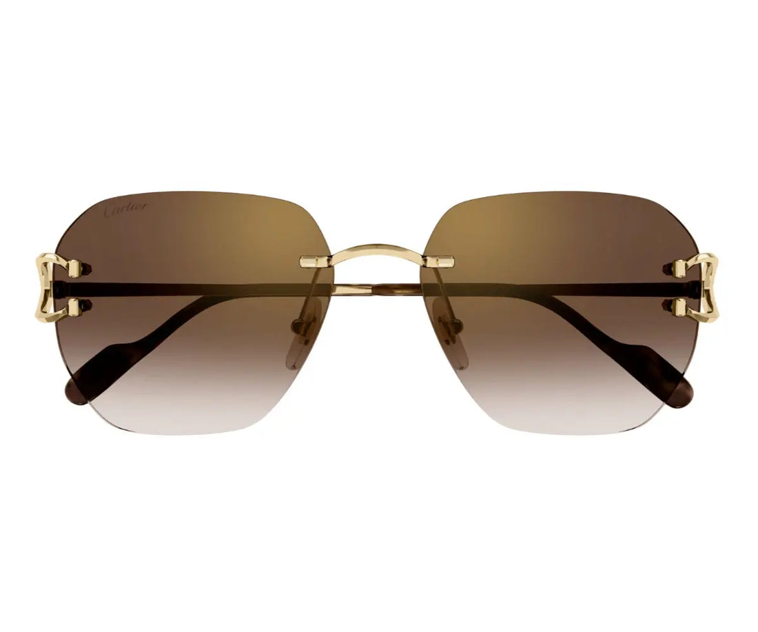 Cartier 0394S 002 58