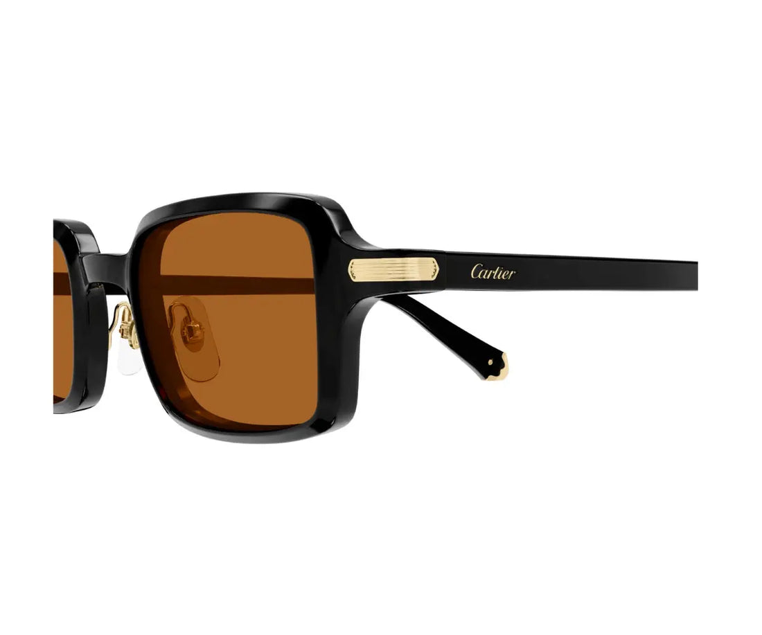 Cartier 0539S 003 49