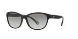 EMPORIO ARMANI EA 4080 (50178E)