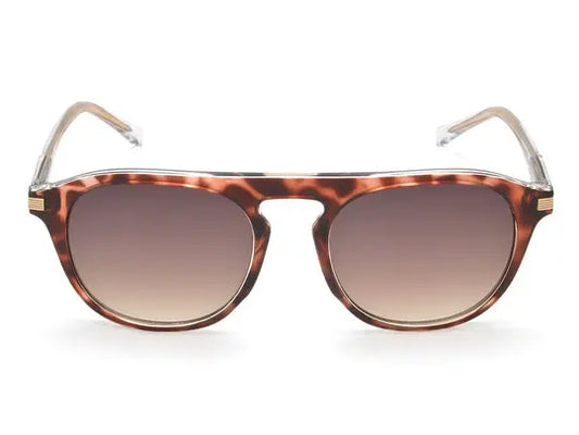 IDEE S2801 Men Oval Sunglasses IDEE