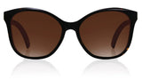 TITAN GC293 BR2FP