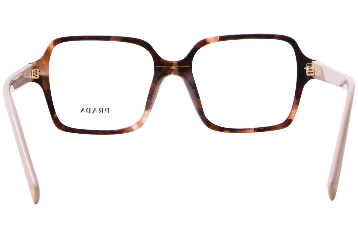 eyewear - Nayan Sukh Exclusive