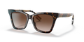 394313 - Dark havana