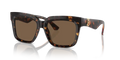 300273 - Dark havana