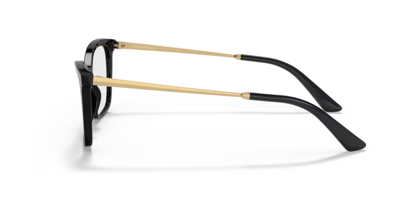 DOLCE & GABBANA 0DG3347 501