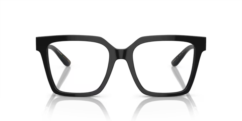 DOLCE & GABBANA 0DG3376B 501