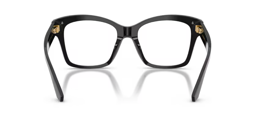 DOLCE & GABBANA ODG3419 501