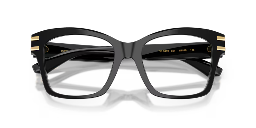 DOLCE & GABBANA ODG3419 501