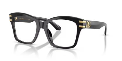 DOLCE & GABBANA ODG3419 501