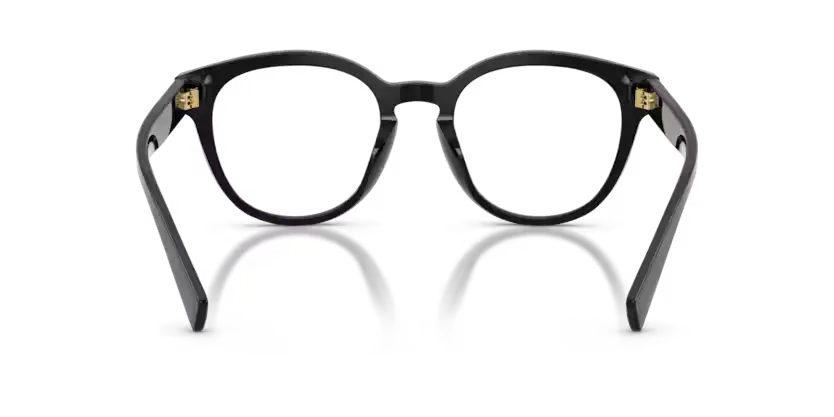 DOLCE & GABBANA DG3421-501