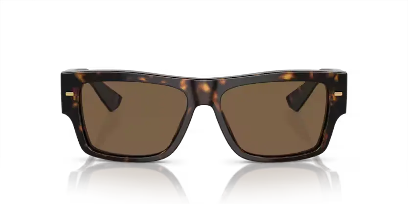 Dolce & Gabbana DG4451 502/73