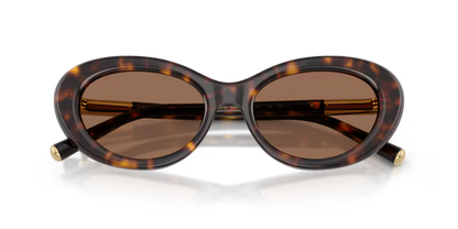 Dolce & Gabbana 0DG4519 502/73