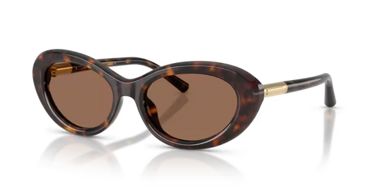 Dolce & Gabbana 0DG4519 502/73