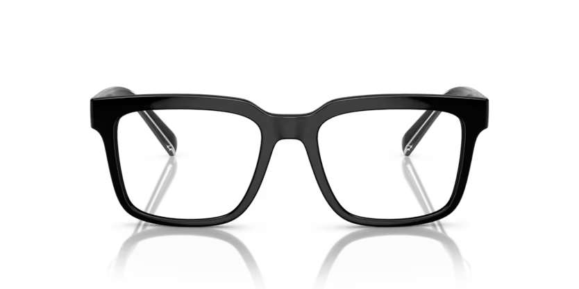 DOLCE & GABBANA 0DG5101